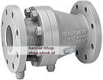 Resideo Rückflussverhinderer RV283P (RESRV283.200) Resideo Rückflussverhinderer RV283P (RESRV283.200)
