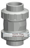 GF Rückschlagventil 562 PVC-C/EPDM PN16 (GF163562006) GF Rückschlagventil 562 PVC-C/EPDM PN16 (GF163562006)
