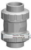 GF Rückschlagventil 562 PVC-C/FKM (GF163562038) GF Rückschlagventil 562 PVC-C/FKM (GF163562038)