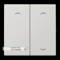 Wippe 2fach, mit 4 Pfeilsymbolen, Duropl (JNGLS995MPLG) Wippe 2fach, mit 4 Pfeilsymbolen, Duropl (JNGLS995MPLG)