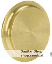 ISIFLO 145 Verschlussplatte (3099032)