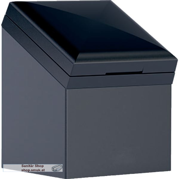 GE Steckdosenelement anthrazit (GE501020000)