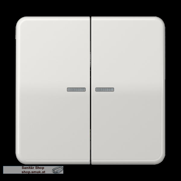 KNX RF Taster, 2fach, Secure, Duroplast, (JNG3602993)