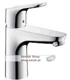 HG Focus Waschtischmischer 100 LowFlow (HG31603000)